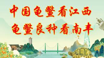 2024中国（南丰）龟鳖产业发展大会在江西南丰开幕