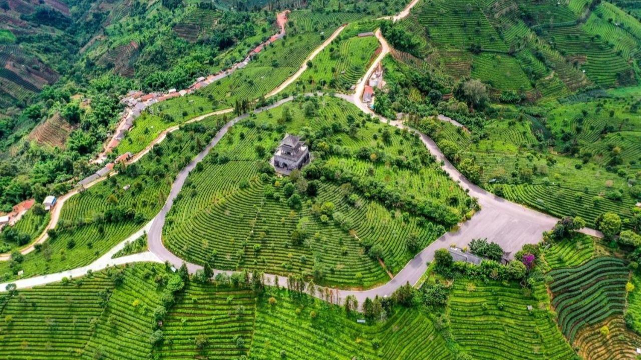 1中华普洱茶博览苑航拍图思茅区委宣传部供图