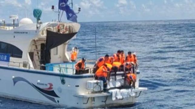 Stranded dolphin released back into sea in Hainan