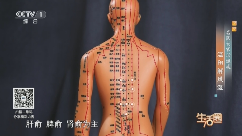 名医大家话健康 温阳解风湿