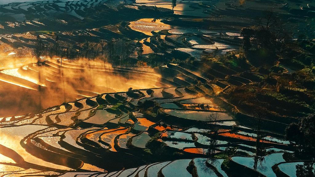 World Heritage in China: Honghe Hani Rice Terraces