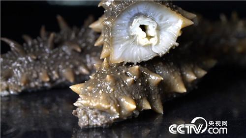 [致富经]美容院女老板改行下海 捞出千万财 20190228 