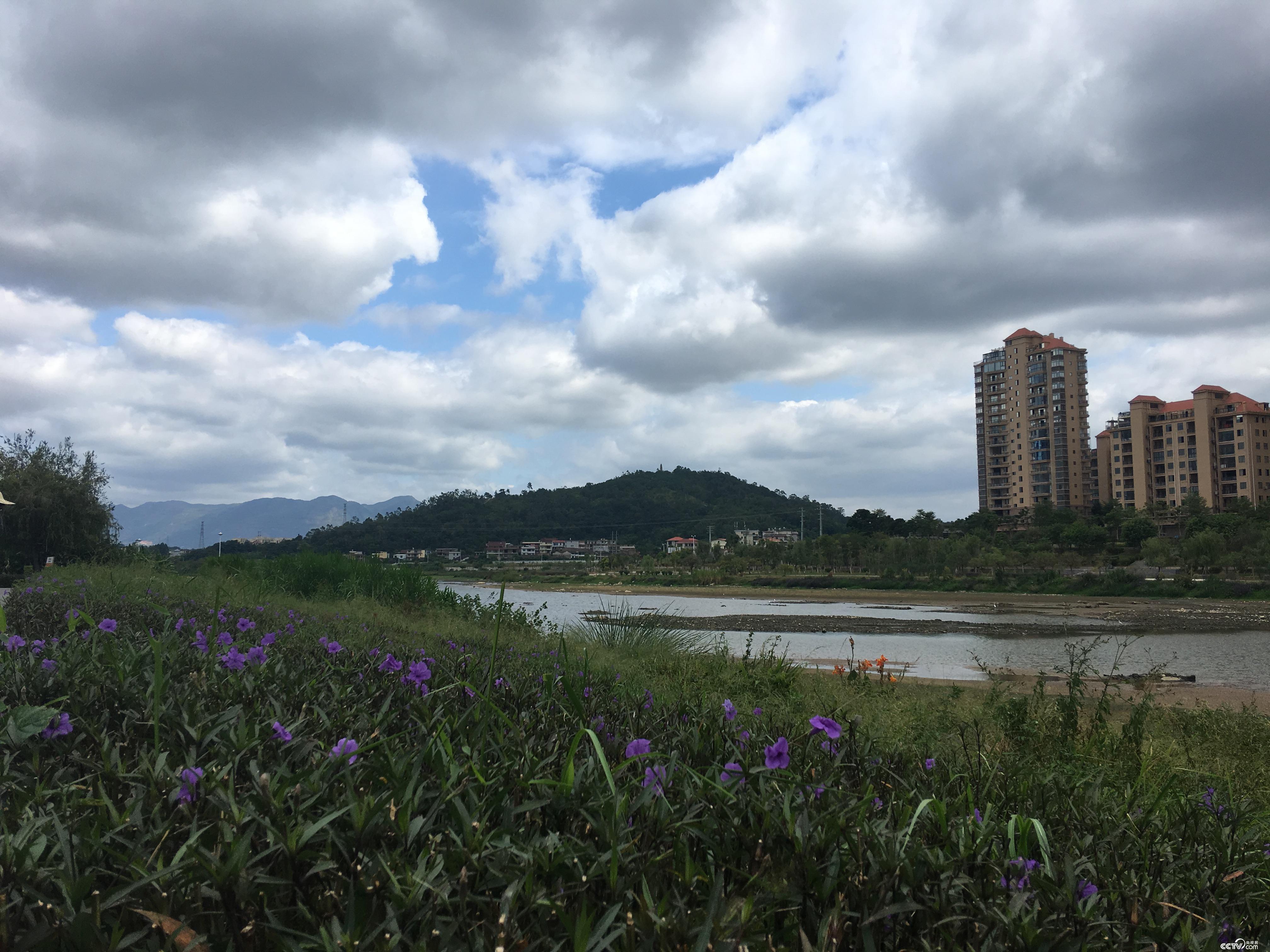莆田人民的母亲河木兰溪两岸花红柳绿，成为休闲好去处。（摄/徐辉）