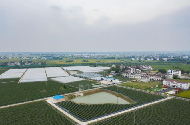 如今的黄汰村，已经是全市脱贫的先进村。陈若天摄