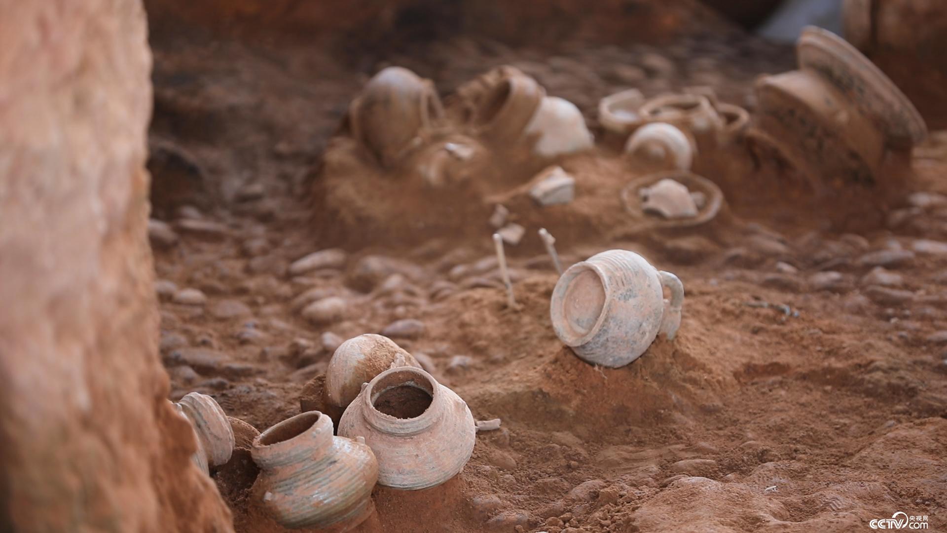 探索发现衢州西周土墩墓群上2月22日播出