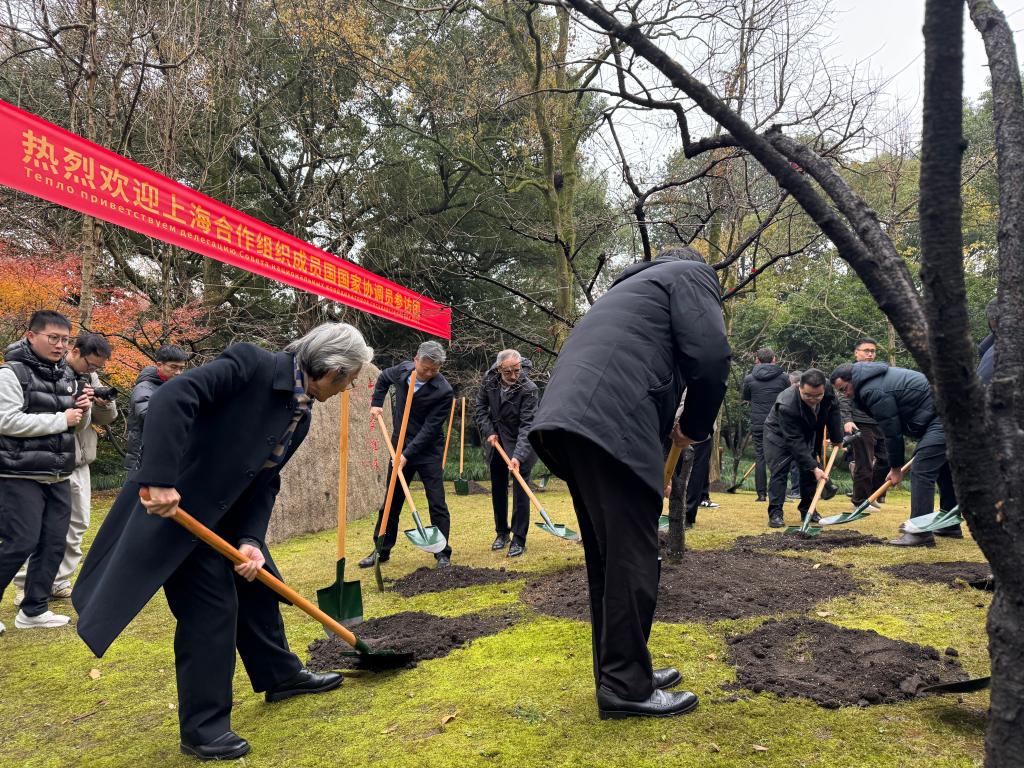 新华 dr 怎么样新华鲜报丨上合组织成员国国家协调员访杭州：期待更多“上合之花”盛放！_https://www.jmylbn.com_新闻资讯_第2张