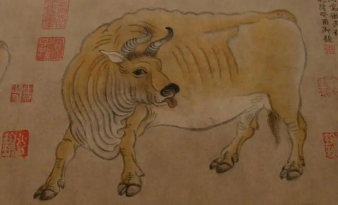 唐 韩滉《五牛图》卷