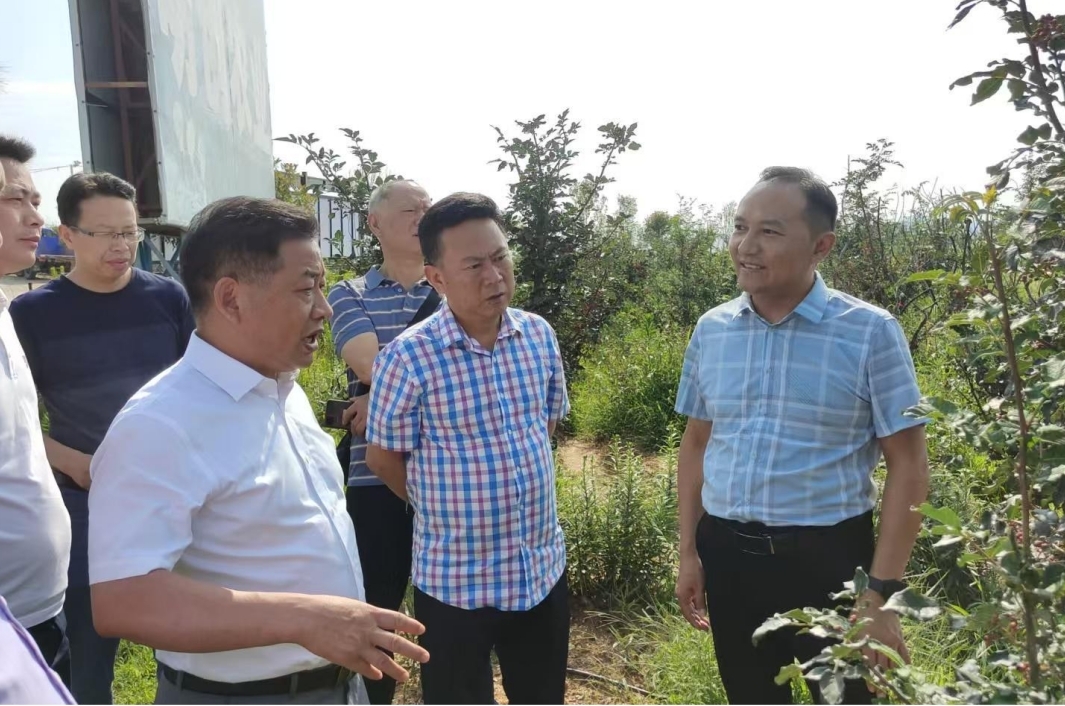 2021年7月，文昌村考察队专程赴四川威远考察