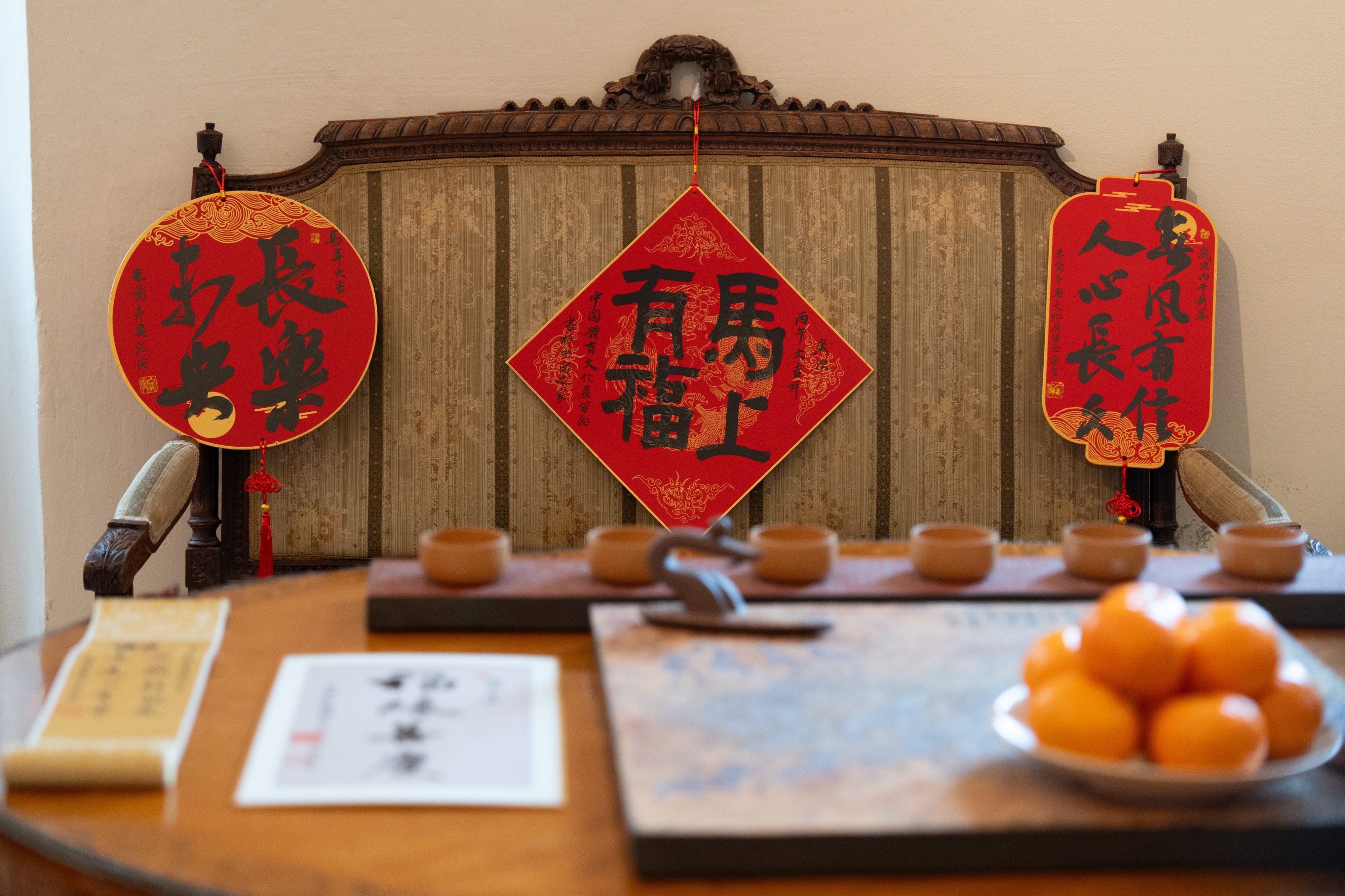 米兰中华体育文化展：架友谊之桥 致新春祝福_体育_央视网(cctv.com)