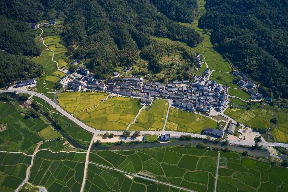蛟潭窑柴燃料产区：礼芳村窑柴山林及古建筑群